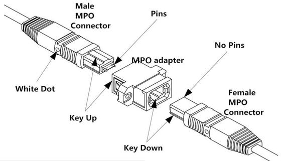 Σκοινί 12 μπαλωμάτων συνδετήρων OM3/OM4 MPO καλώδιο καλωδίων 8/12/24F MTP MPO κορμών ινών MPO